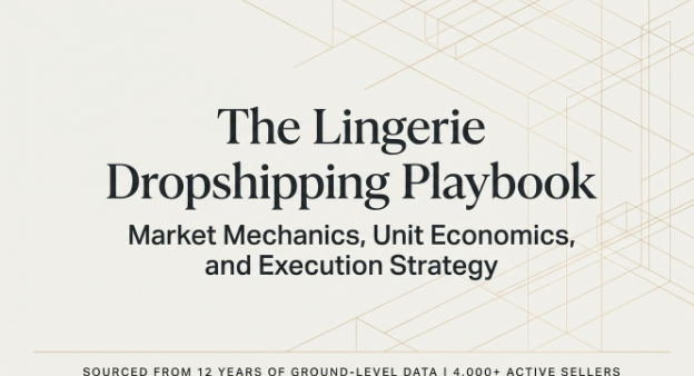 Is Lingerie a Profitable Niche for Dropshipping: Detailed Analysis